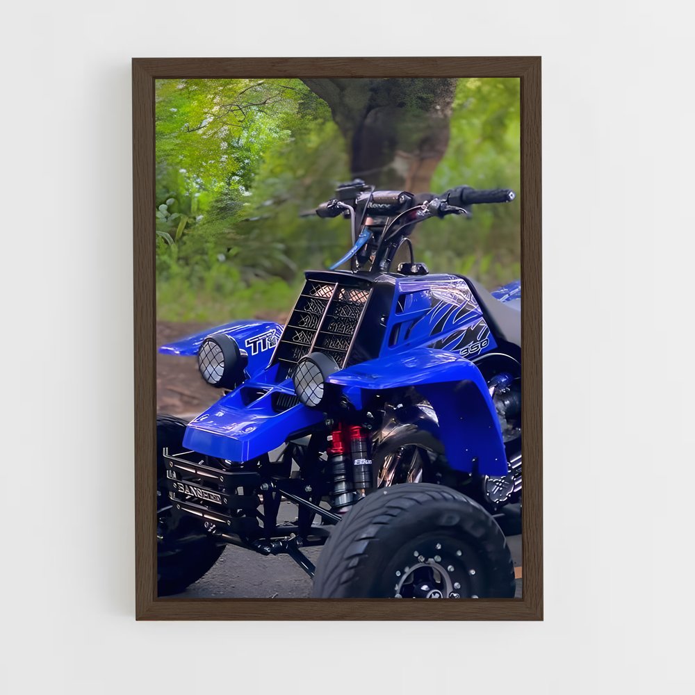 Poster Banshee Ride – affiche Yamaha (vue 5)
